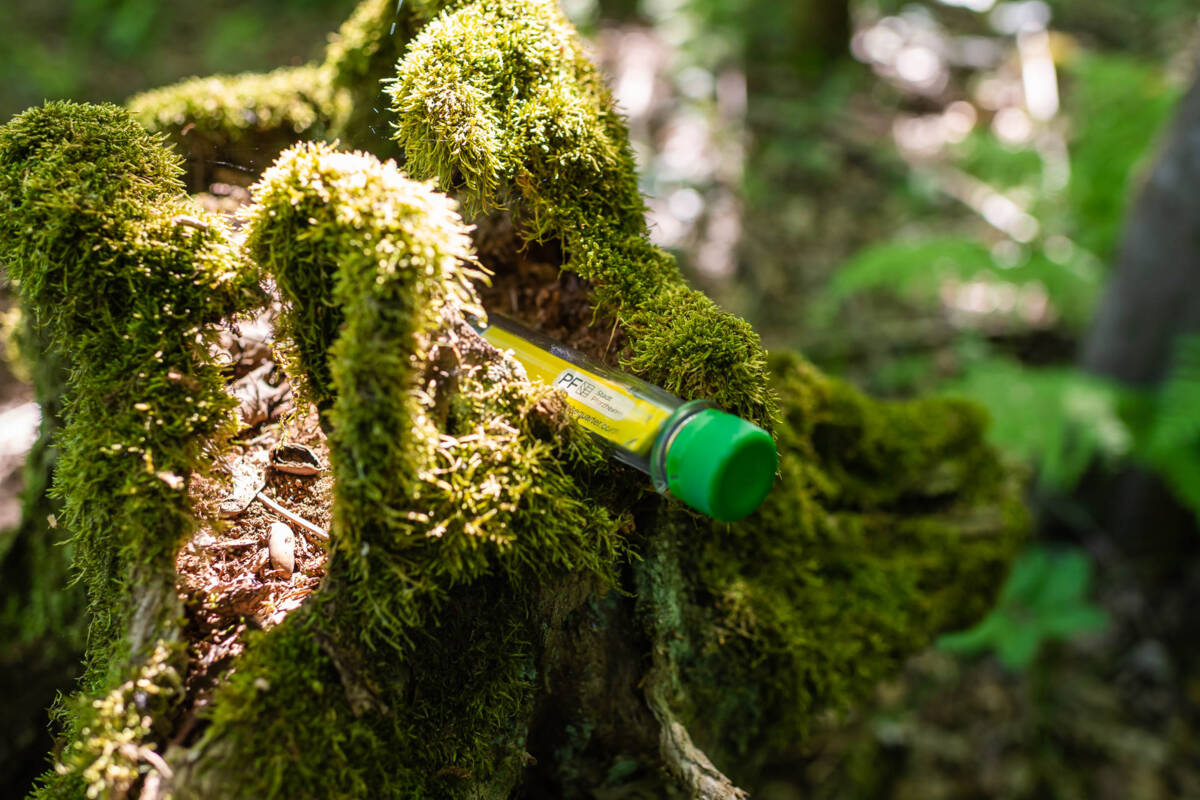 Geocaching in Pforzheim und Enzkreis