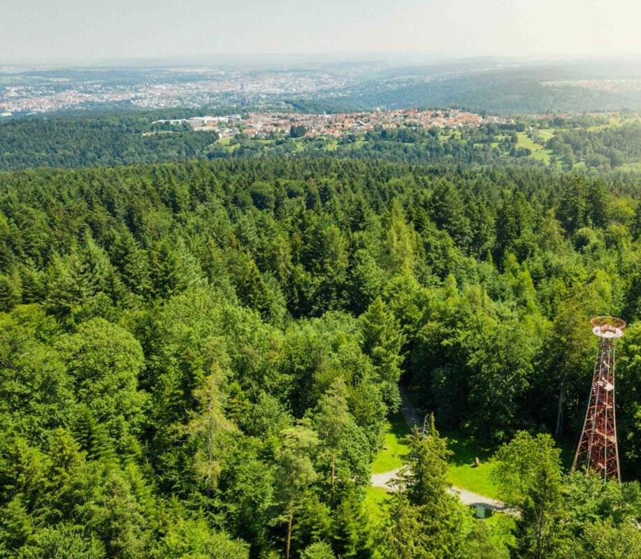 Der Büchenbronner Aussichtsturm