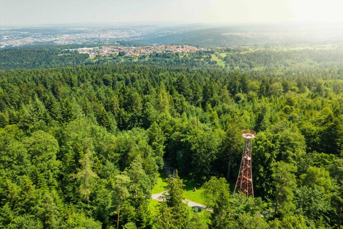 Der Büchenbronner Aussichtsturm