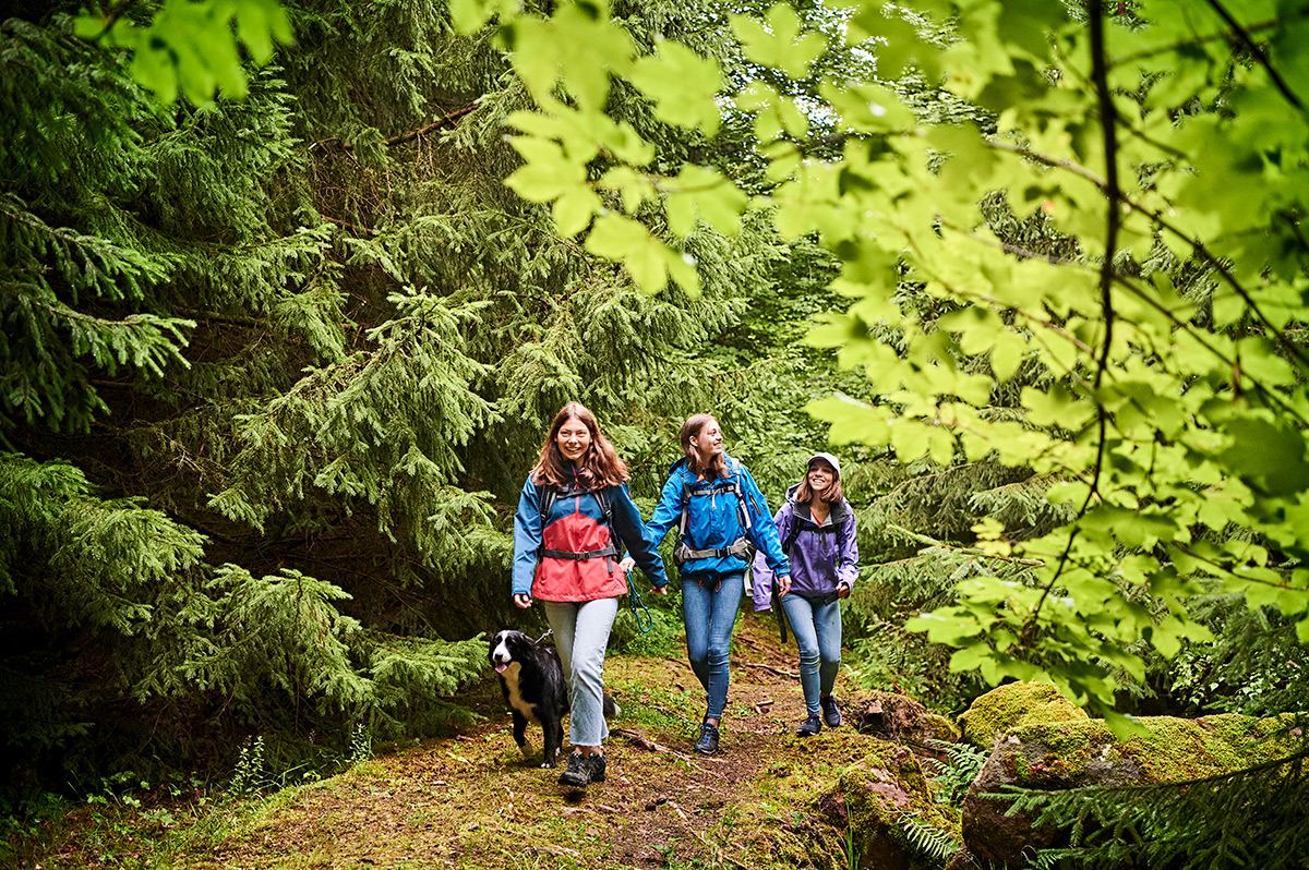 Wandern im Enzkreis